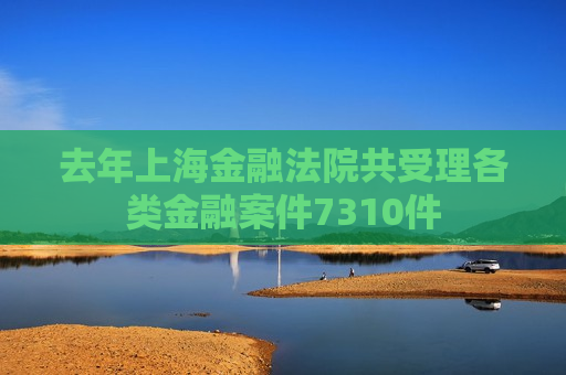 去年上海金融法院共受理各类金融案件7310件