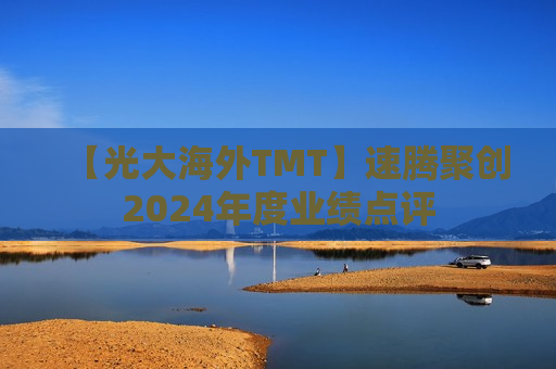 【光大海外TMT】速腾聚创2024年度业绩点评  第1张