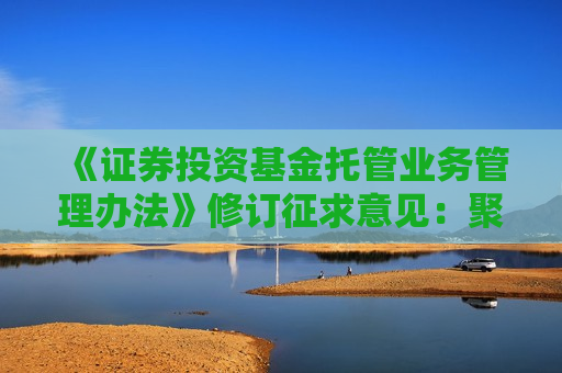 《证券投资基金托管业务管理办法》修订征求意见：聚焦五大方面，压实托管人责任  第1张