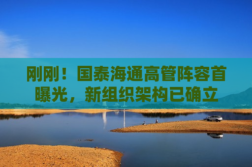 刚刚！国泰海通高管阵容首曝光，新组织架构已确立