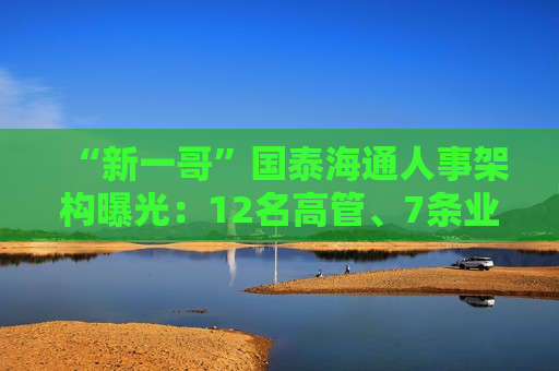“新一哥”国泰海通人事架构曝光：12名高管、7条业务线、41个部门浮出水面
