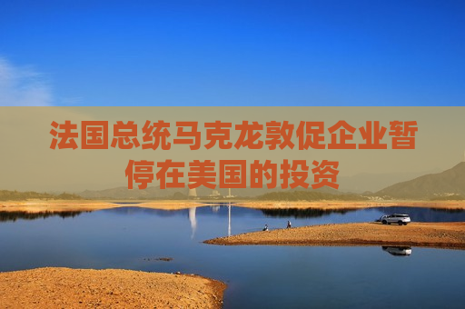 法国总统马克龙敦促企业暂停在美国的投资  第1张