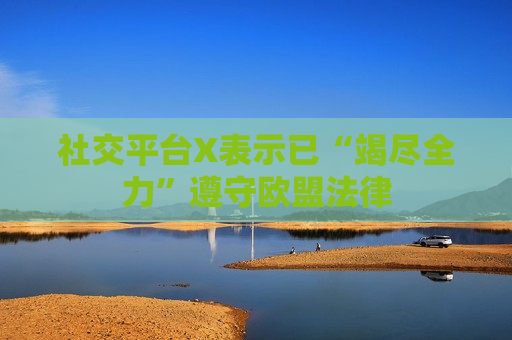 社交平台X表示已“竭尽全力”遵守欧盟法律  第1张
