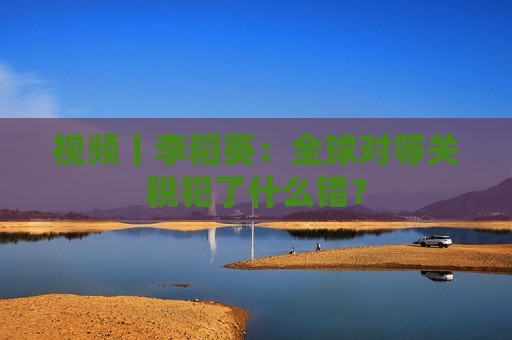 视频丨李稻葵：全球对等关税犯了什么错？