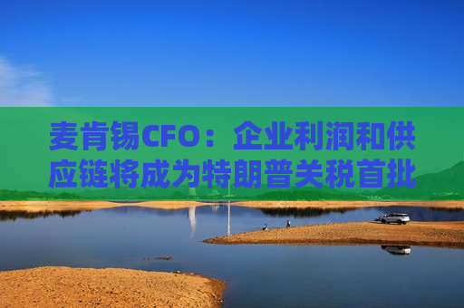 麦肯锡CFO：企业利润和供应链将成为特朗普关税首批牺牲品