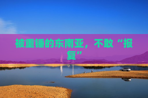 被重锤的东南亚，不敢“报复”