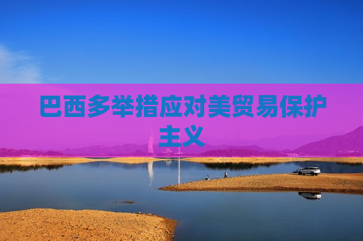 巴西多举措应对美贸易保护主义