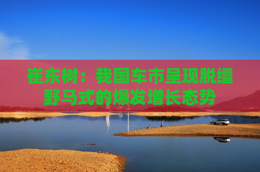 崔东树：我国车市呈现脱缰野马式的爆发增长态势