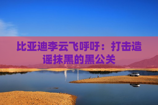 比亚迪李云飞呼吁：打击造谣抹黑的黑公关