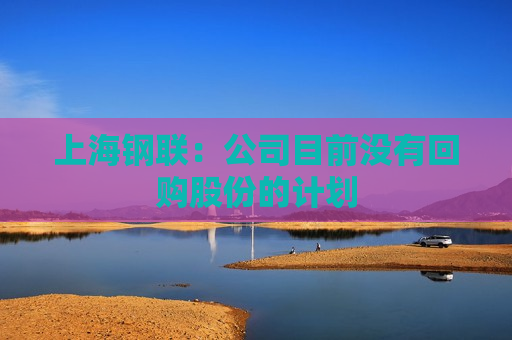 上海钢联：公司目前没有回购股份的计划