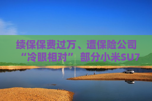 续保保费过万、遭保险公司“冷眼相对” 部分小米SU7首批车主遭续保难题