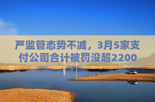严监管态势不减，3月5家支付公司合计被罚没超2200万元，盛迪嘉支付月内二领罚单  第1张