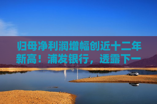 归母净利润增幅创近十二年新高！浦发银行，透露下一步方向  第1张