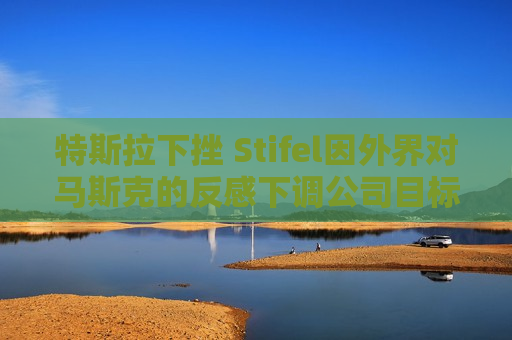特斯拉下挫 Stifel因外界对马斯克的反感下调公司目标价  第1张