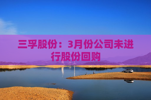 三孚股份：3月份公司未进行股份回购