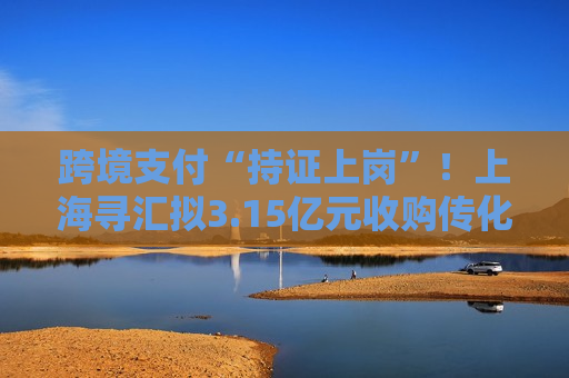 跨境支付“持证上岗”！上海寻汇拟3.15亿元收购传化支付，多家跨境支付服务商布局境内支付牌照  第1张
