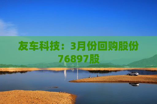 友车科技：3月份回购股份76897股
