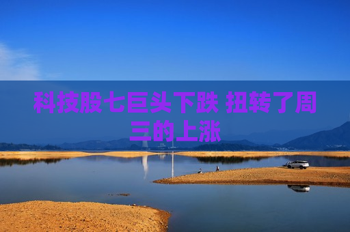 科技股七巨头下跌 扭转了周三的上涨