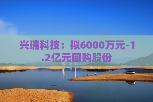 兴瑞科技：拟6000万元-1.2亿元回购股份