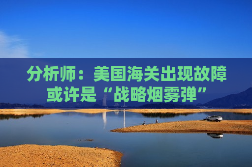 分析师：美国海关出现故障或许是“战略烟雾弹”