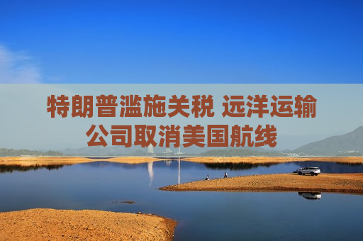 特朗普滥施关税 远洋运输公司取消美国航线