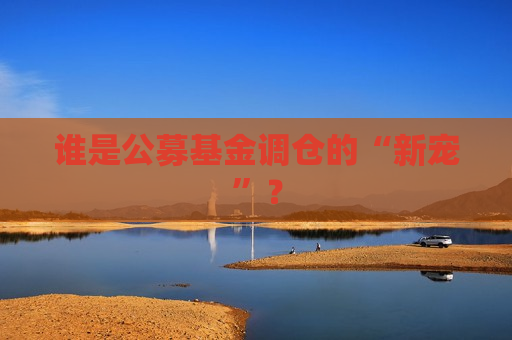 谁是公募基金调仓的“新宠”？