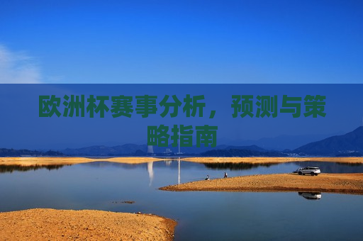 欧洲杯赛事分析，预测与策略指南