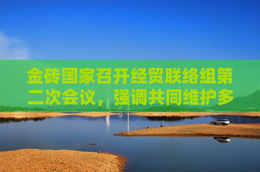 金砖国家召开经贸联络组第二次会议，强调共同维护多边贸易体制，反对单边主义和贸易保护主义