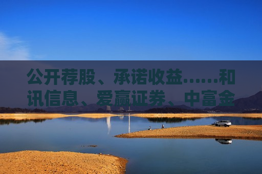 公开荐股、承诺收益……和讯信息、爱赢证券、中富金石等多家第三方投顾被罚