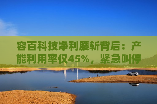 容百科技净利腰斩背后：产能利用率仅45%，紧急叫停扩产项目
