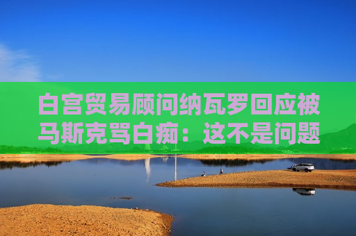 白宫贸易顾问纳瓦罗回应被马斯克骂 *** ：这不是问题，我被骂过更难听的