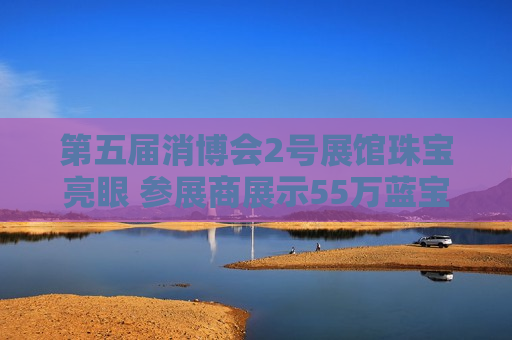 第五届消博会2号展馆珠宝亮眼 参展商展示55万蓝宝石胸针