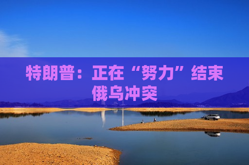 特朗普：正在“努力”结束俄乌冲突