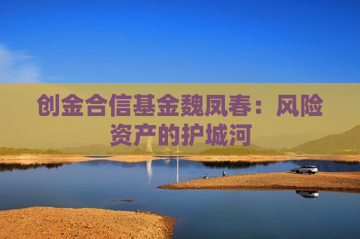 创金合信基金魏凤春：风险资产的护城河