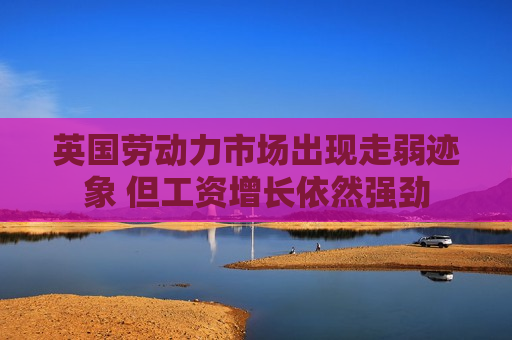 英国劳动力市场出现走弱迹象 但工资增长依然强劲