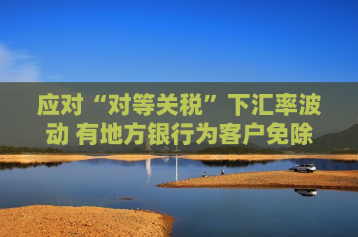 应对“对等关税”下汇率波动 有地方银行为客户免除部分套保成本  第1张