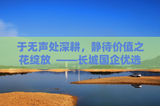于无声处深耕，静待价值之花绽放  ——长城国企优选基金经理储雯玉致投资者的一封信