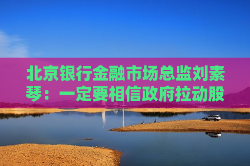 北京银行金融市场总监刘素琴：一定要相信 *** 拉动股市的决心