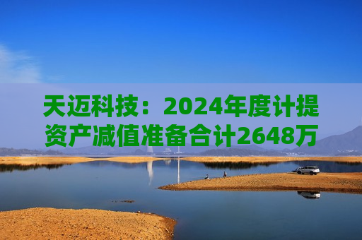 天迈科技：2024年度计提资产减值准备合计2648万元