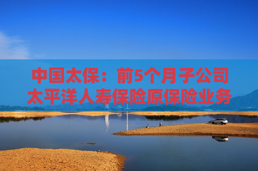 中国太保：前5个月子公司太平洋人寿保险原保险业务收入同比下降2.1%