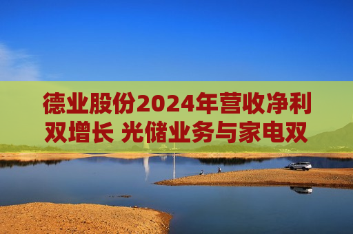 德业股份2024年营收净利双增长 光储业务与家电双轮驱动发力  第1张
