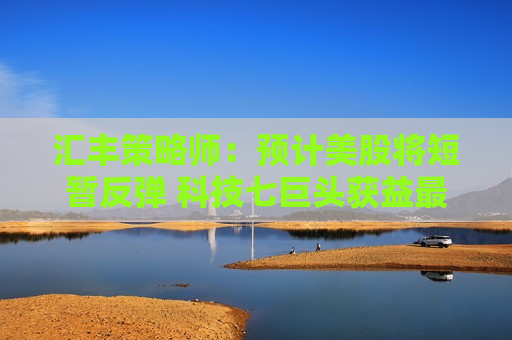 汇丰策略师：预计美股将短暂反弹 科技七巨头获益最多