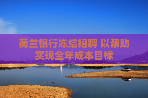 荷兰银行冻结 ***  以帮助实现全年成本目标