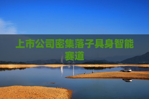 上市公司密集落子具身智能赛道