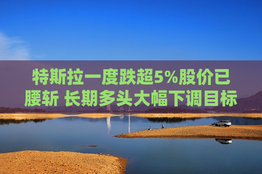 特斯拉一度跌超5%股价已腰斩 长期多头大幅下调目标价