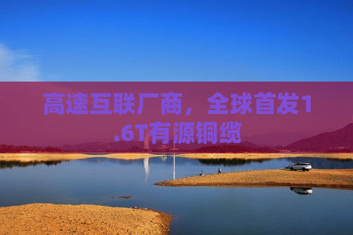 高速互联厂商，全球首发1.6T有源铜缆