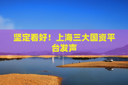坚定看好！上海三大国资平台发声