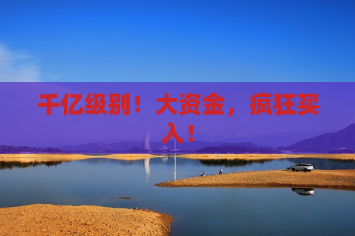 千亿级别！大资金，疯狂买入！
