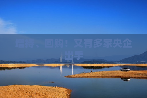 增持、回购！又有多家央企出手