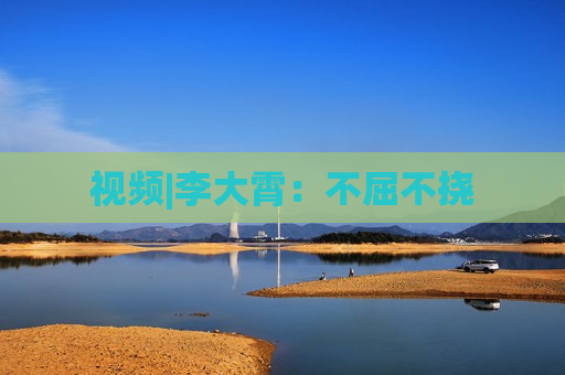 视频|李大霄：不屈不挠